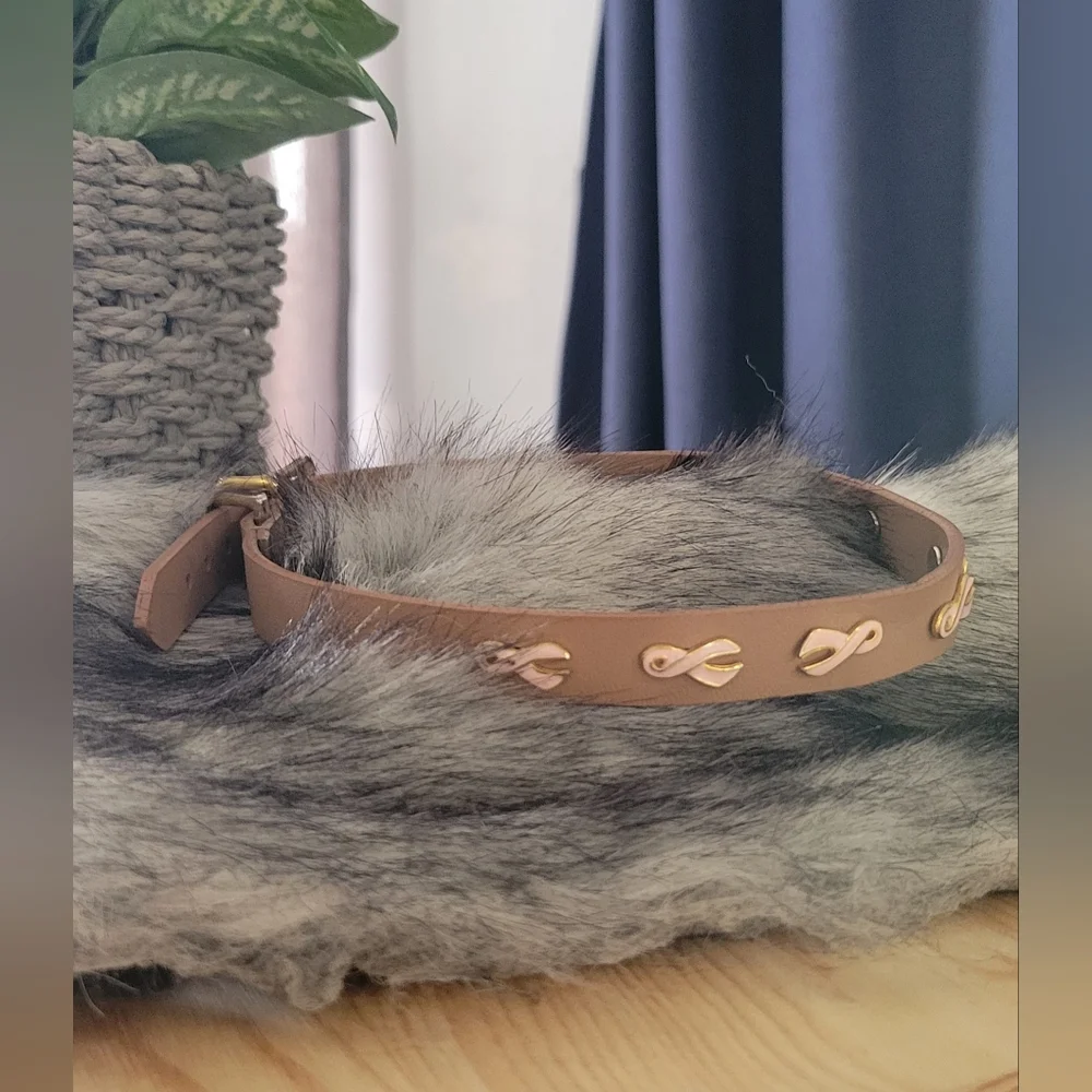 Dog collar, brown leather, breast cancer logo, 18